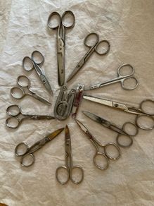 Collection of Small Scissors 12