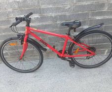 Kids Frog Bike