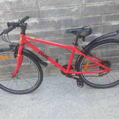 Kids Frog Bike