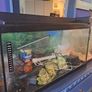 75litre Aquarium Image 5