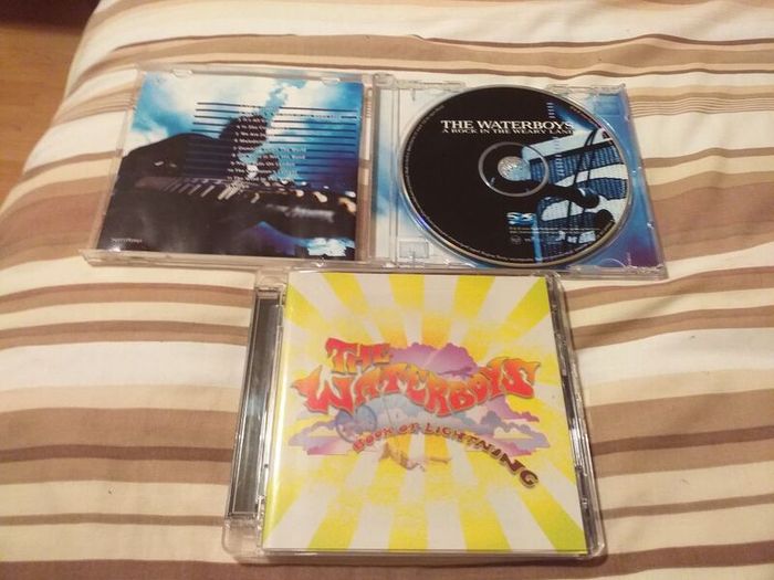 The Waterboys.