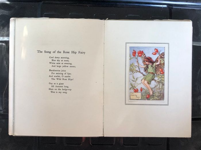 Antique Book Autumn Songs with Music from "Flower Fairies of the Autumn"