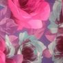 ladies dress Karen Millen. Floral. Size 8-10 Image 2