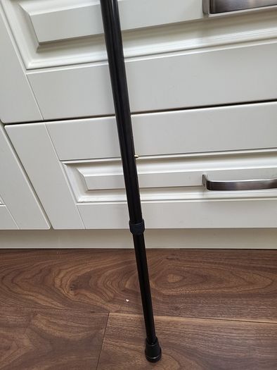 Walking stick telescopic