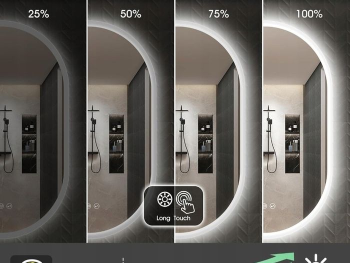 LED Bathroom Mirror Oval 50x80cm Bluetooth Antifog