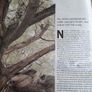 'Wild Ireland' 2010 report Image 3
