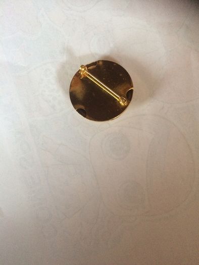 ladies brooch