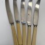 Set of 5 bone handle cake knives Image 2