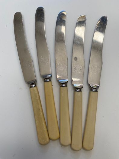 Set of 5 bone handle cake knives