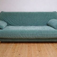 Couch or Sofa bed