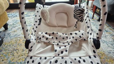 Baby Bouncer