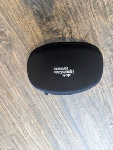Goggle lens protector