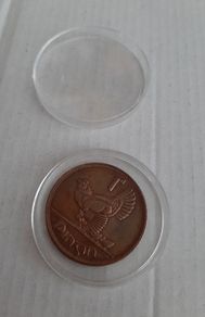 Irish Penny in coin case