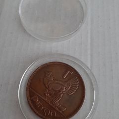 Irish Penny in coin case