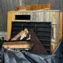 4 Person Outdoor Sauna Image 4