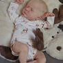 19inch 48cm Reborn Baby Doll Lifelike Baby Doll Levi Blonde Hair Girl Toddler Doll Toy (FREE POSTAGE) Image 2