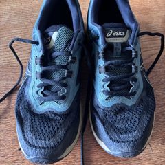 ASICS GT2000 6 Trail running shoes