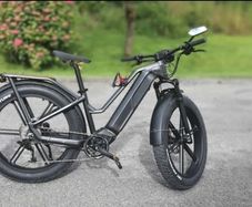 Fiido Titan Electric Fat Bike Like New