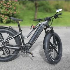 Fiido Titan Electric Fat Bike Like New