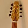 Carvalho  Bouzouki +soft Case. Image 9
