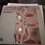 Tchaikovsky Vinyl Lps Image 3