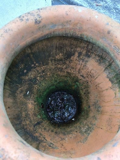 large terracotta urn