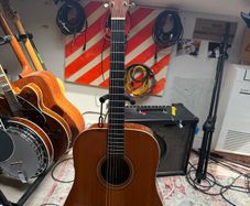 Acoustic Guitar Tangelwood TW40 D-AN-E