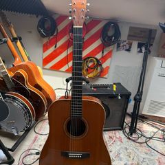 Acoustic Guitar Tangelwood TW40 D-AN-E