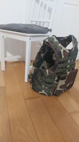 Tactical vest