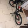 Rockrider Image 5