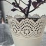 indoor plant with pot Image 3