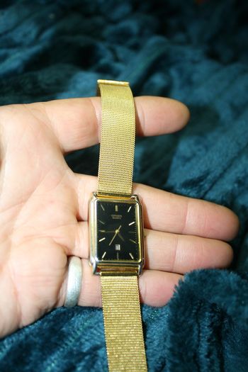 Vintage Citizen  black face Watch ,Quartz (fresh battery works fine)