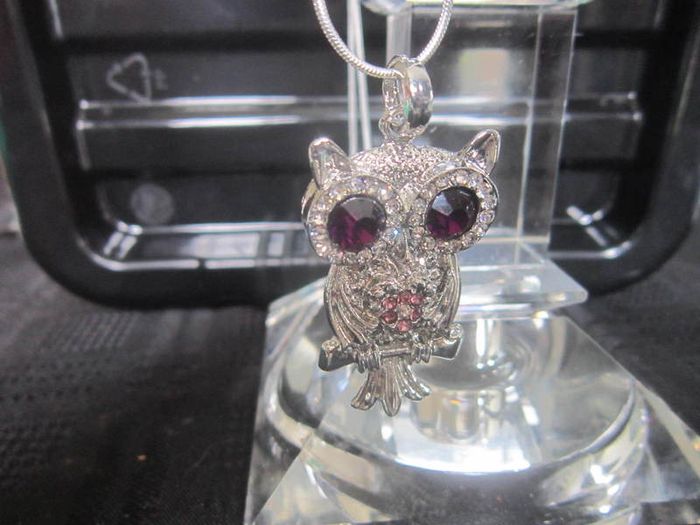 Cute Owl Pendant and Chain