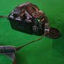 canon powershot camera Image 4