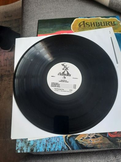 ASHBURY : Endless Skies LP - US 2014 repress