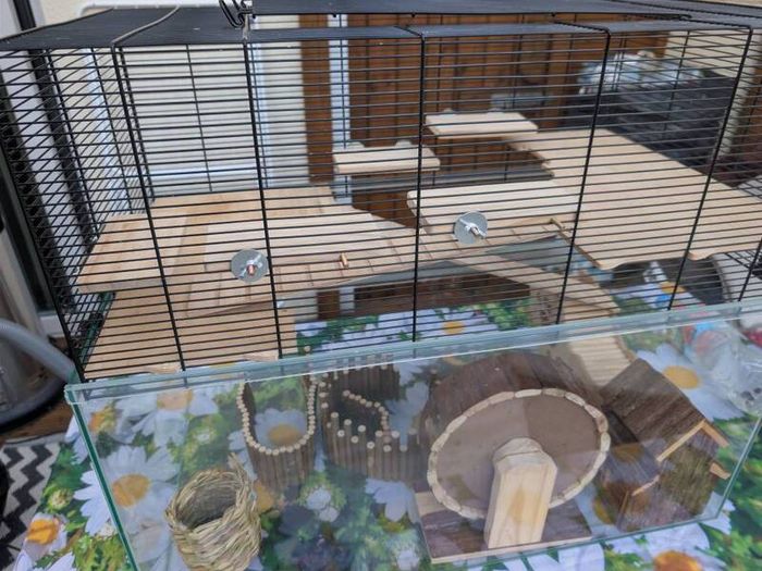 hamster cage