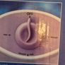 Morphy Richards Essentials Foot Spa, New, Never used Image 7
