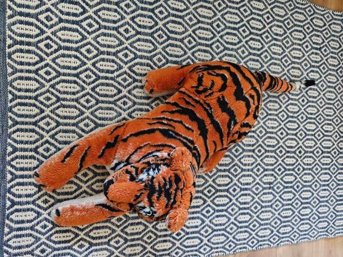 Teddy tiger