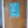 Pashmina  Scarf/Wrap.  New. Image 3
