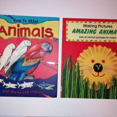Children's Art Books: Amazing Animals & How to Draw Animals. Two for Ten Euro.