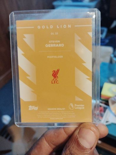 Steven Gerrard