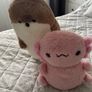 Two large plushies, axolotl and seal Image 2
