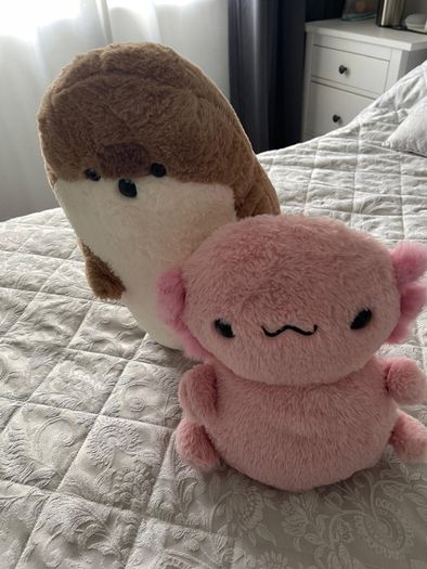 Two large plushies, axolotl and seal