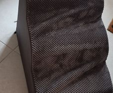 Pet ramp