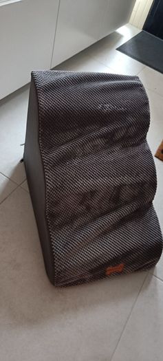Pet ramp