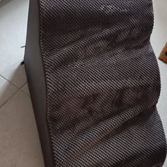 Pet ramp