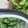 bike Image 6