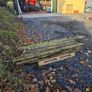 Firewood free Image 2
