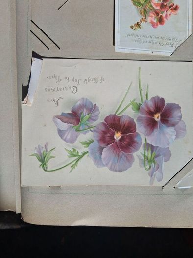 Mega Art Nouveau Postcard Album (197 Pieces)