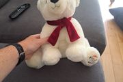 polar bear teddy